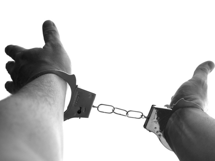Полицейскими Архангельска задержан подозреваемый в грабеже