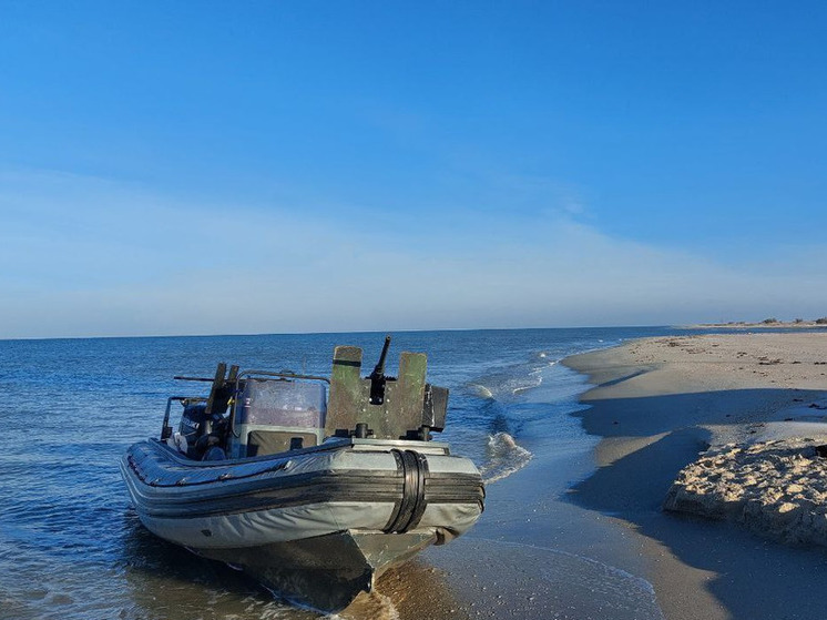 Элитный спецназ ВМСУ уничтожен в Херсонской области