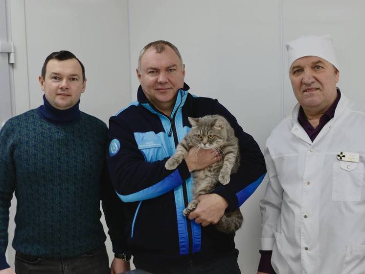 Кот главы района стал первым пациентом нового ветпункта в Красноселькупе