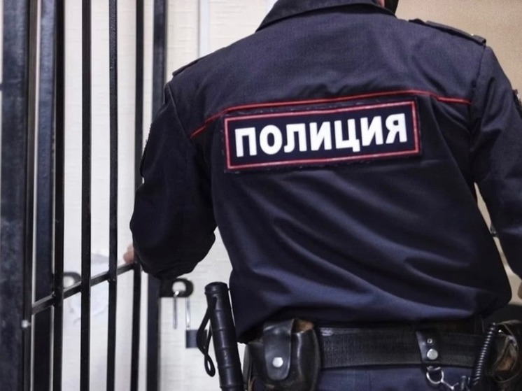 Житель Александрова избил участкового и  бросил в него кирпичи
