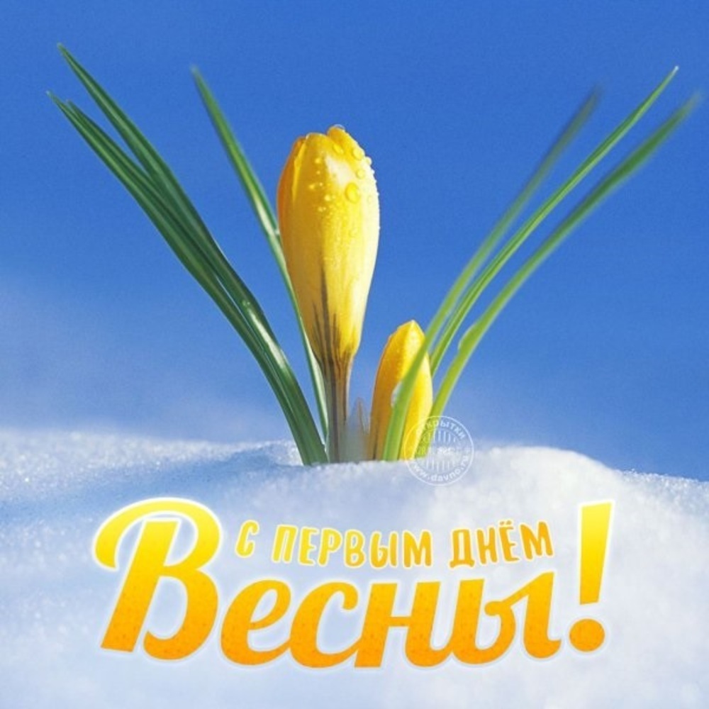 Яркая и стремительная: 25 забавных открыток в честь первого дня весны в Томске 