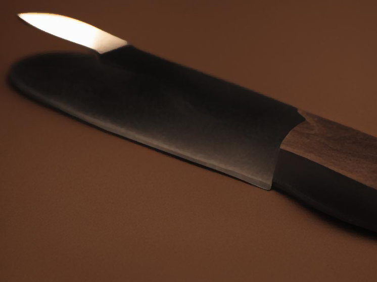 Житель Камчатки ранил ножом собственного сына