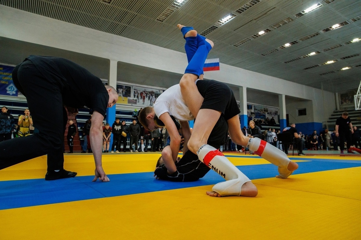 The strongest young athletes in MMA were identified in Lipetsk