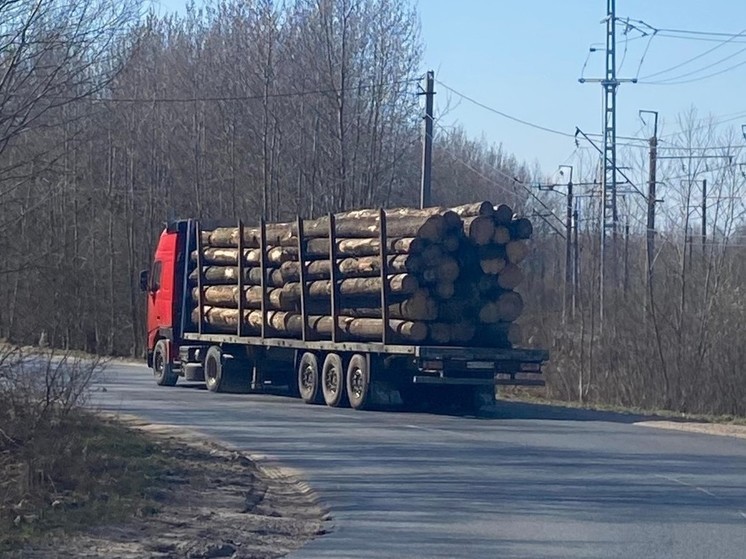 На региональных дорогах Новгородской области введут ограничения с 1 апреля