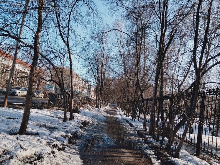 Похолодание до -7 градусов: синоптики рассказали о погоде в Томске в выходные дни