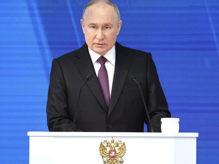 Ленинградцам рассказали, что за шесть лет Россия планирует добиться устойчивого роста рождаемости