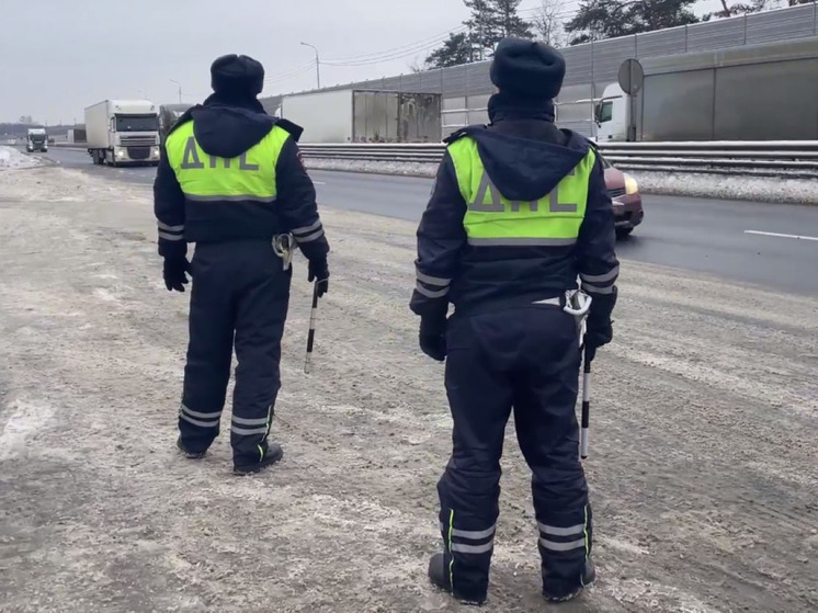 Подмосковные инспекторы ДПС помогли доставить ребенка в больницу