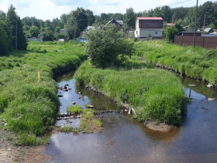 Реку, затопившую деревню под Петрозаводском, расчистят и углубят