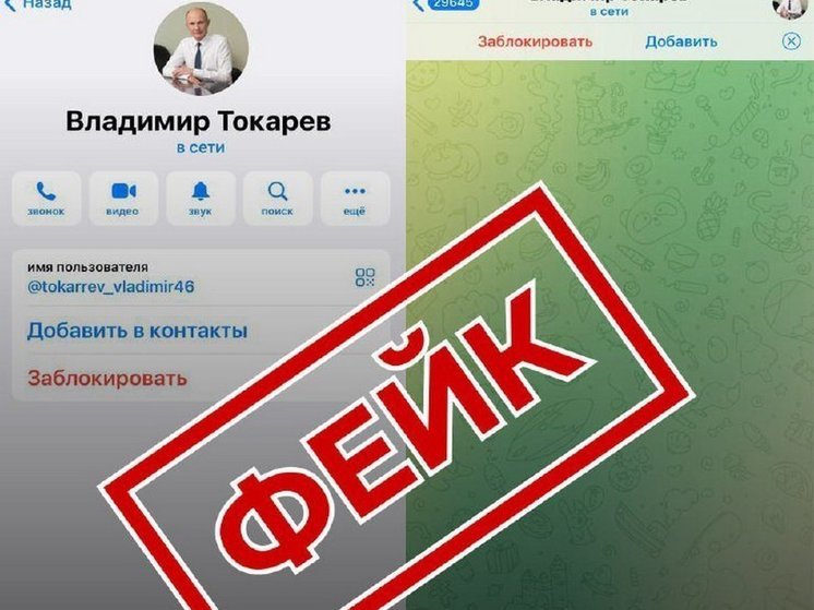 Злоумышленники создали фейковый аккаунт спикера КГС Владимира Токарева