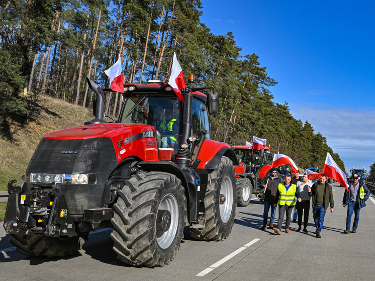 Поляки вновь щелкнули Владимира Зеленского по носу