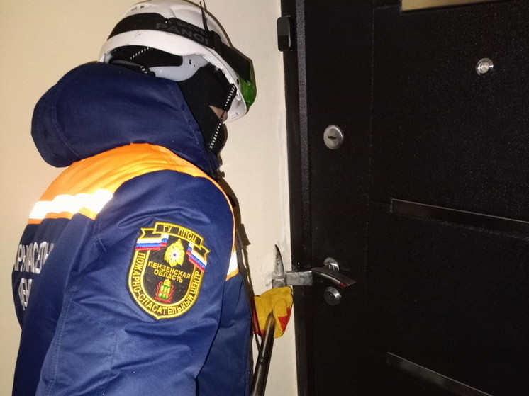 Жительница Пензы звала на помощь в запертой квартире