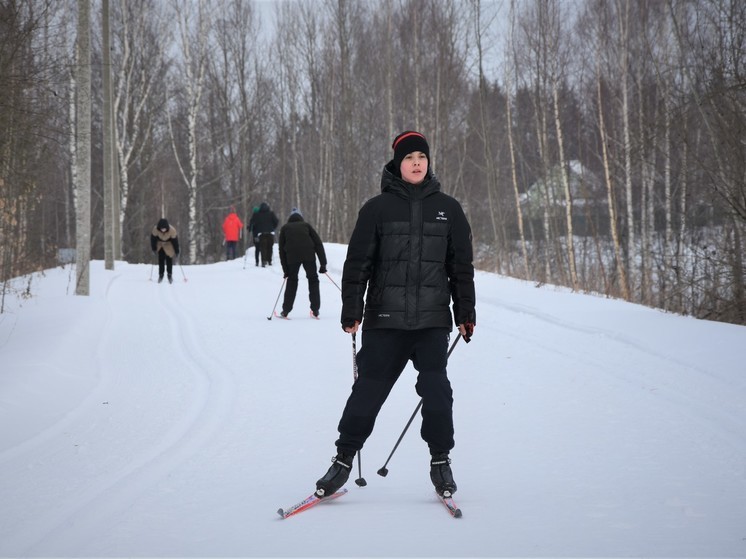 Костромичи смогут проголосовать за благоустройство лыжни или экотропы в Заволжье