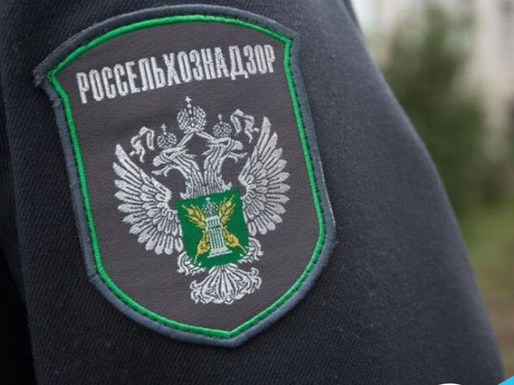 Свиньи с необычными датами рождения найдены в Орловской области