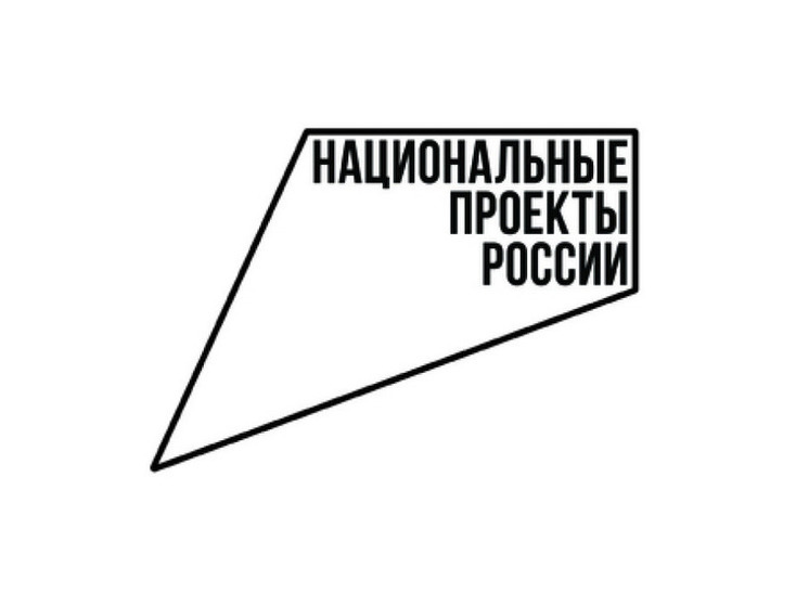 Проблемы реализации национальных проектов в Орловской области: контроль и финансирование