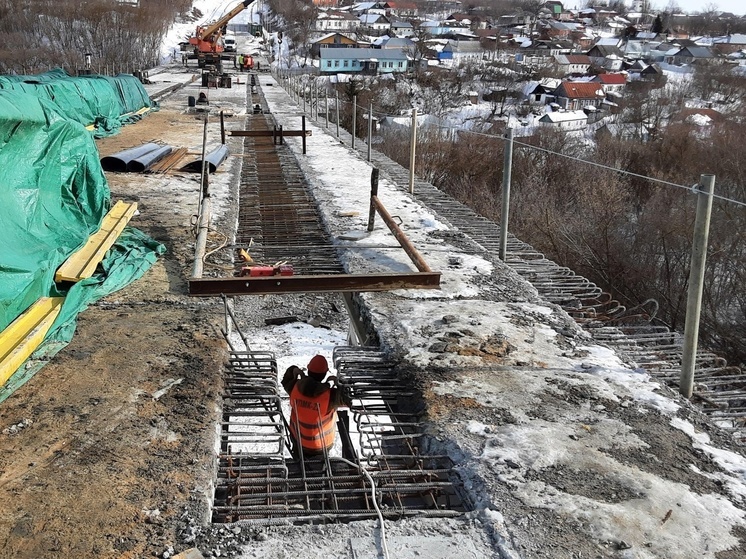 Реконструкцию Аргамаченского моста в Ельце должны завершить в этом году