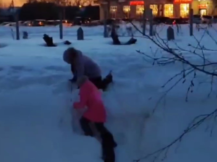 В противотанковый ров провалилась собака в подмосковной Лобне