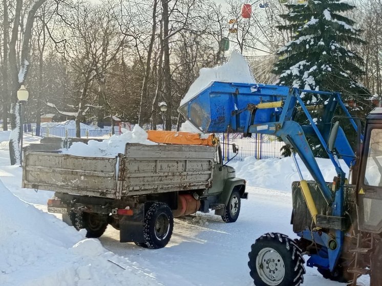 Из главного парка Пензы вывезли снег