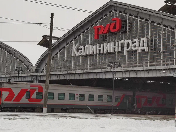 Литва определилась с условиями выхода пассажиров из калининградских поездов