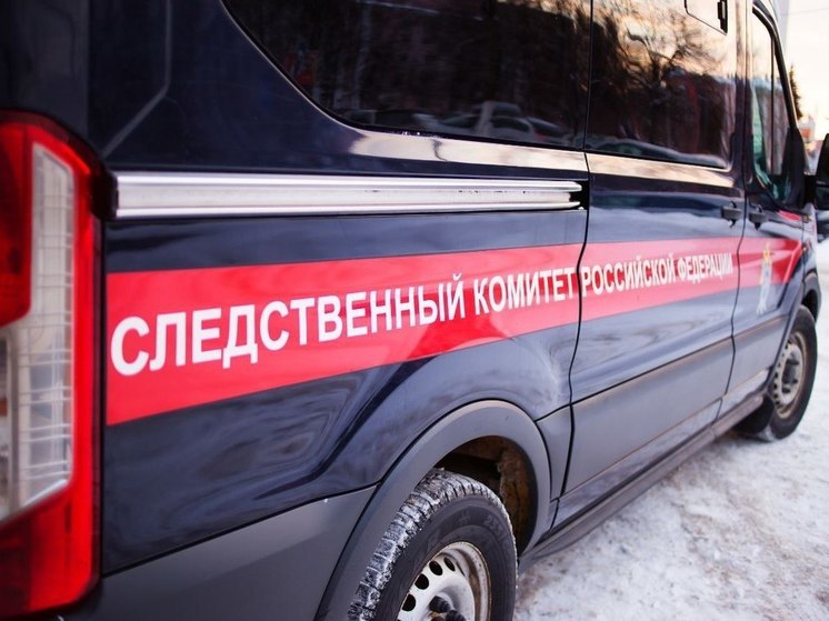 На хозяина, чья собака напала на ребенка в Твери, завели уголовное дело