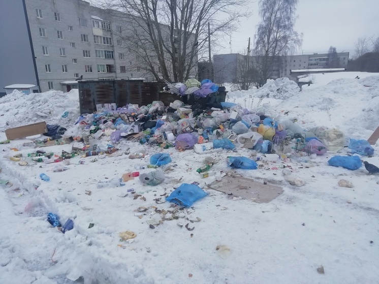  Борьба с мусорными завалами в Сегеже никак не закончится