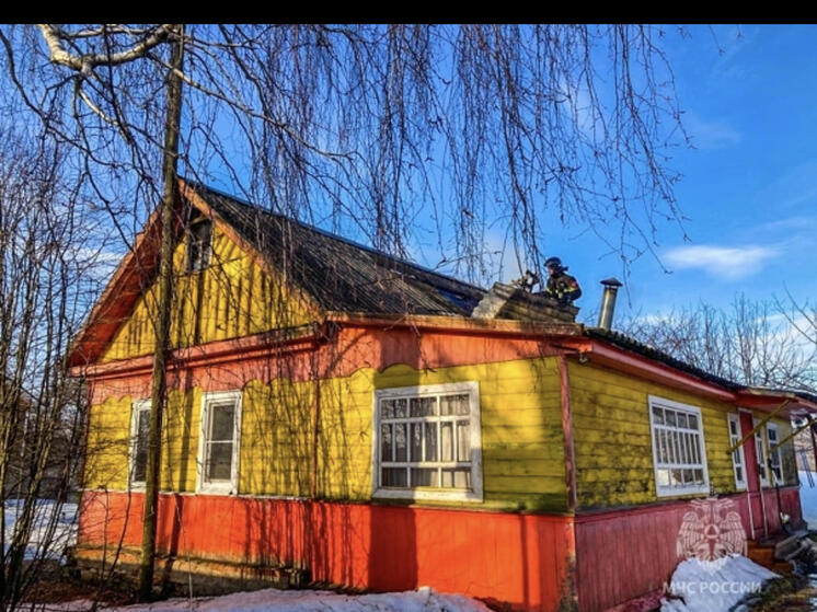 В деревне Богдановщина Смоленской области огонь охватил кухню жилого дома