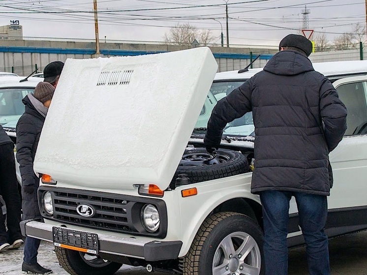 В Челябинске серьезно упал спрос на средства для защиты авто