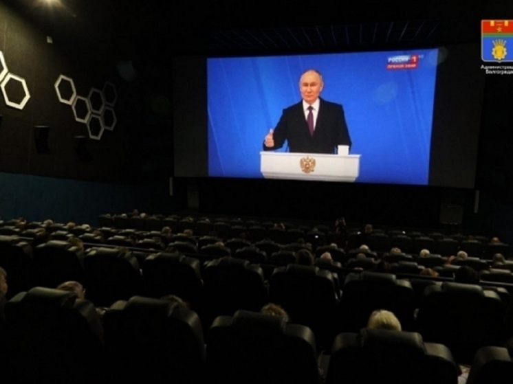 Послание Владимира Путина прошло в кинозале Волгограда с аншлагом