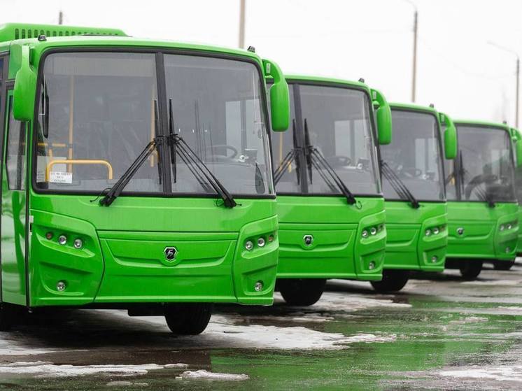 Новый автобусный маршрут «Вокзал – УЛК» запустят в Пскове с 4 марта