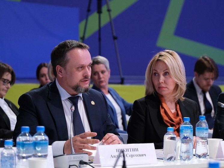 Никитин рассказал о реализации проекта «Репродуктивное здоровье» на Новгородчине