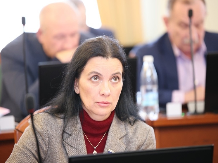 Татьяна Гриневич отметила расхождение политики нижегородского ЗакСобрания с посланием Президента