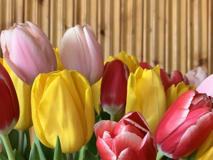 Пензенцам назвали адреса работы цветочных ярмарок перед 8 марта