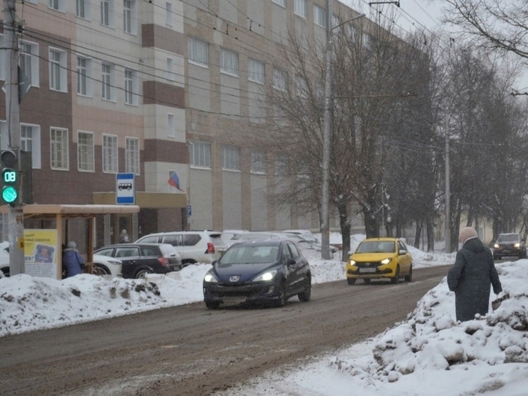Тульских водителей каршеринга проверят сотрудники ГИБДД