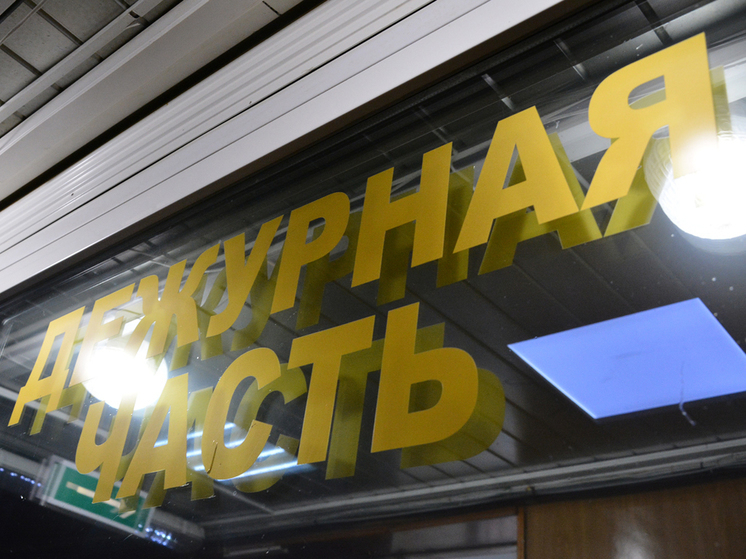 Из пензенского магазина украли 26 упаковок сыра