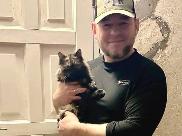 Марат Мирхайдаров рассказал о любимице бойцов СВО - кошке Моте