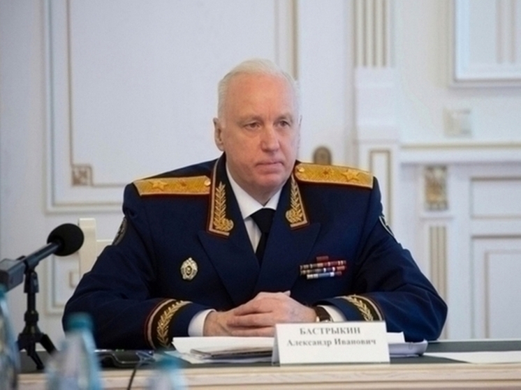 Бастрыкин указал возбудить дело по нападению стаи собак на мальчика в Чите