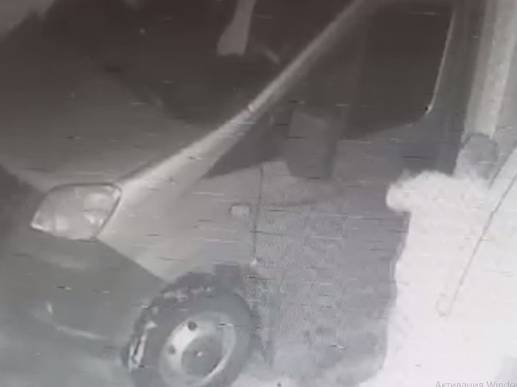 В Воронеже задержали паренька, угнавшего "Газель" 38-летней предпринимательницы