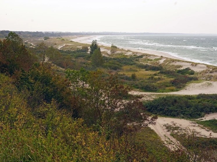 «Белая дюна» на Балтийском побережье станет частью проекта «Пять морей»