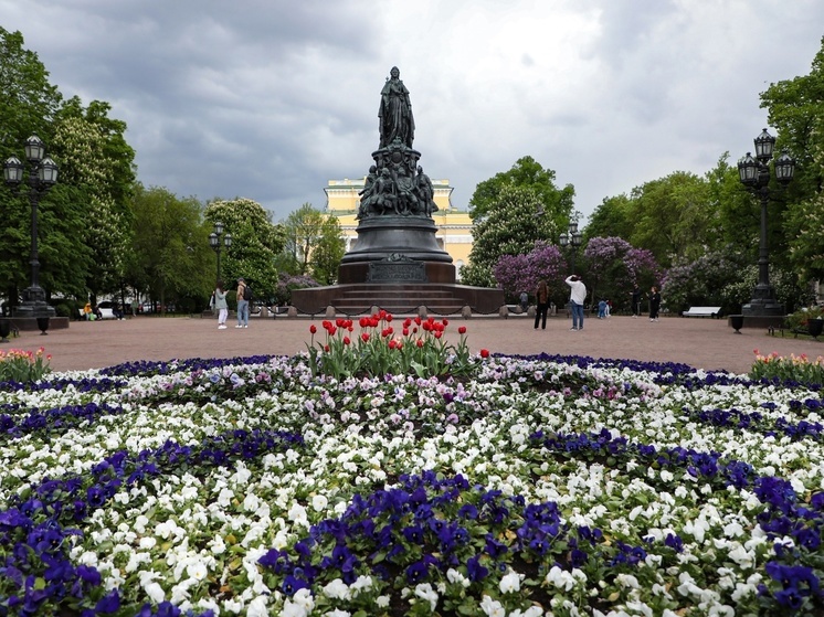 В Петербурге высадят полмиллиона виол и 242 тысячи тюльпанов