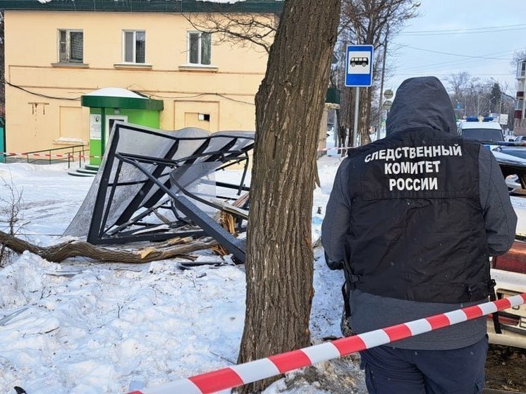 На Сахалине осудят пьяного водителя, наехавшего на толпу людей на остановке