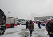 В гаражных боксах на улице Германа Титова в Барнауле произошел пожар. Специалистам МЧС удалось ликвидировать возгорание на площади около 20 кв. метров. 
