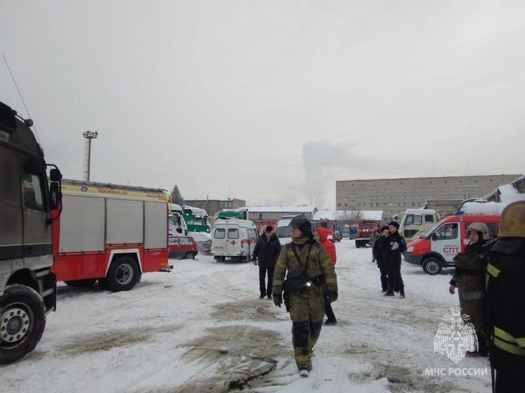 В Барнауле потушили пожар в гаражных боксах
