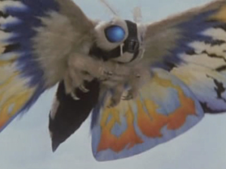 Ученые неожиданно раскрыли тайну крыльев бабочек-мутантов