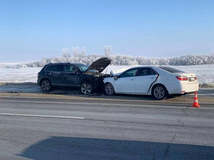 В ДТП на трассе Р-22 в Скопинском районе погибла пассажирка Toyota