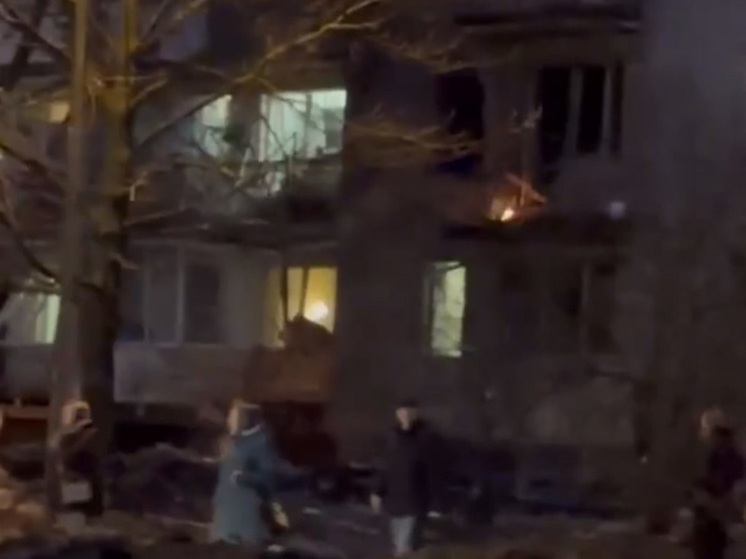 Пес спас жительницу петербургского дома, в который попал беспилотник