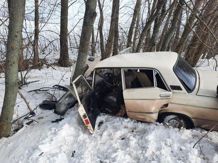 В Воронежской области пьяный водитель съехал в кювет и врезался в дерево