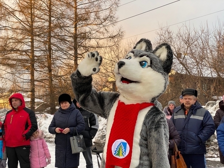 В Костромской области стартовали зимние областные спортивные игры на призы губернатора