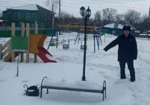 В Алтайском крае полицейские раскрыли кражу декоративных фонарей с детской площадки в селе Смоленском одноименного района. Сумма ущерба, причиненного злоумышленником, составила 50 тысяч рублей, сообщает МВД-медиа. 