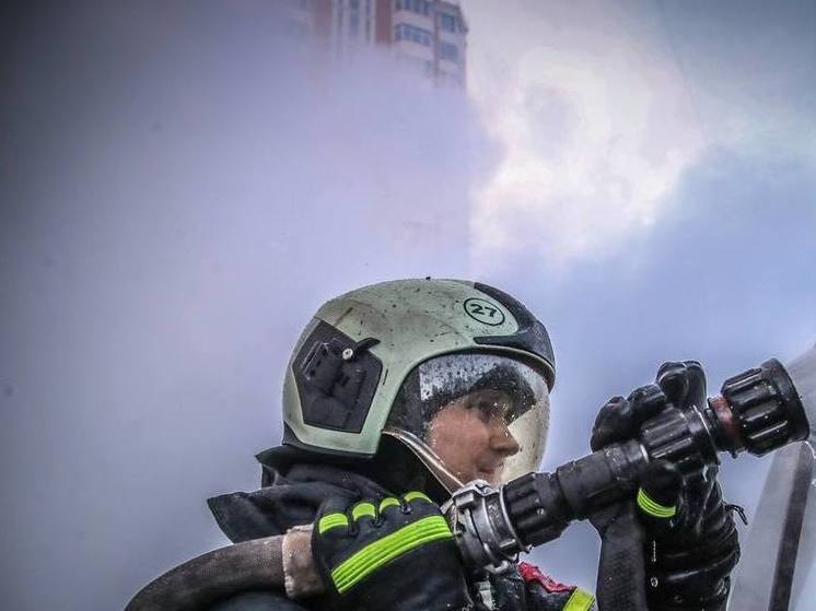 В Тульской области ночью в горящем автомобиле погиб мужчина