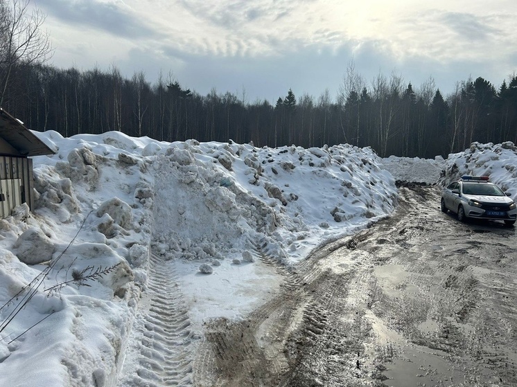 Чиновники Лобни уличили сами себя в создании незаконной снегосвалки
