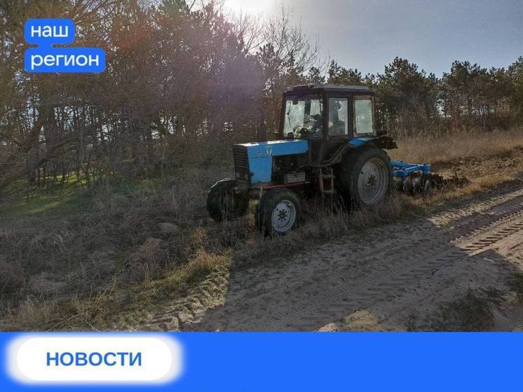 В лесах Херсонщины создают противопожарные полосы